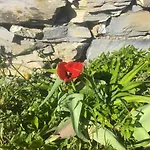 Vista Portofino アパート ラッパロ