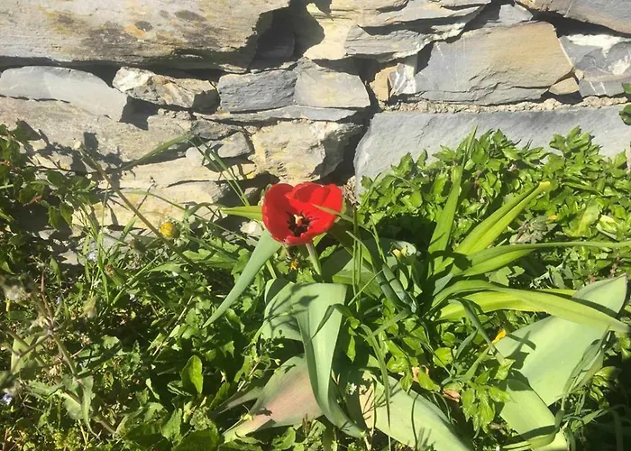 Vista Portofino Apartment Rapallo